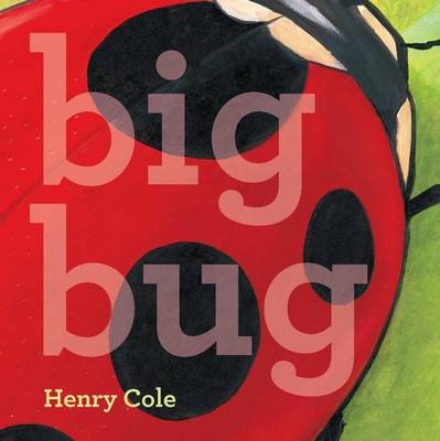 Book cover for Big Bug