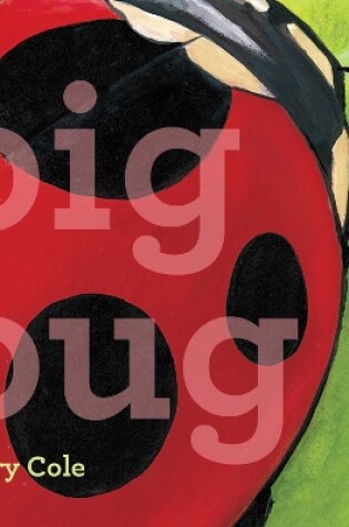 Cover of Big Bug