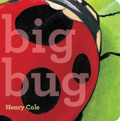 Cover of Big Bug