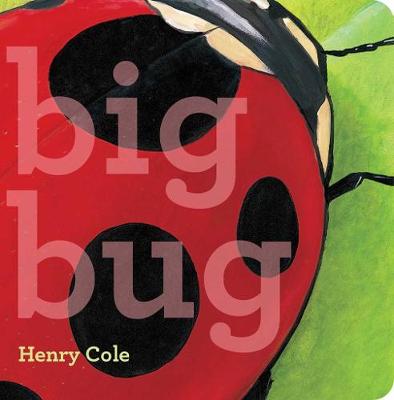 Book cover for Big Bug