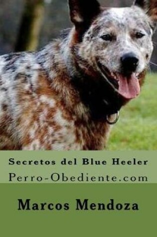 Cover of Secretos del Blue Heeler