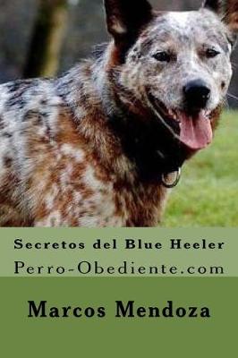 Book cover for Secretos del Blue Heeler