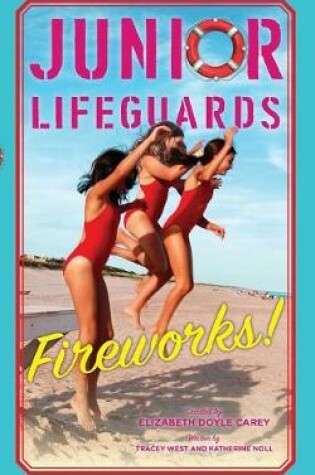 Cover of Fireworks!