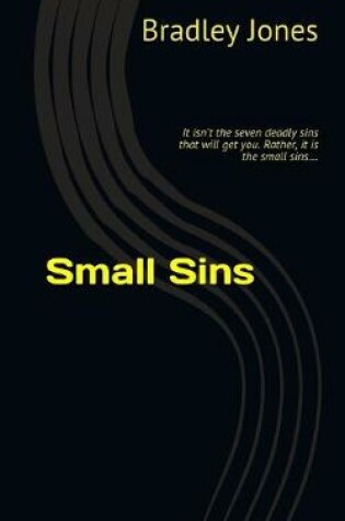 Cover of Small Sins