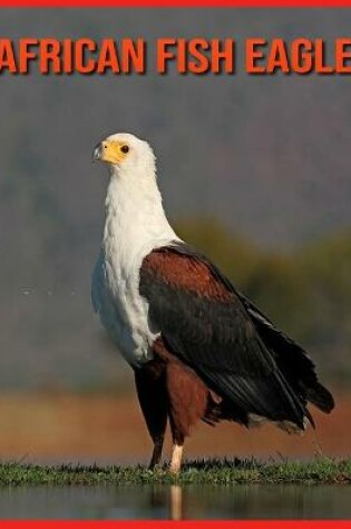 Cover of African Fish Eagle