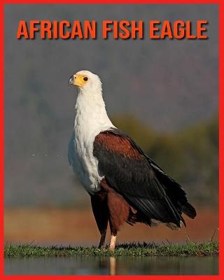 Book cover for African Fish Eagle