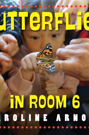 Cover of Butterflies in Room 6