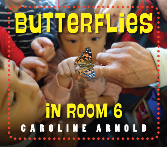 Book cover for Butterflies in Room 6