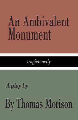 Book cover for An Ambivalent Monument