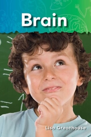 Cover of Brain