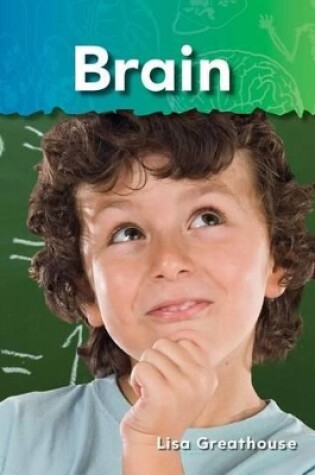 Cover of Brain