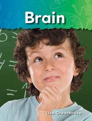 Book cover for Brain