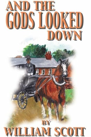 Cover of And the Gods Look Down