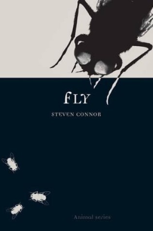 Cover of Fly