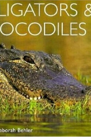 Cover of Alligators and Crocodiles