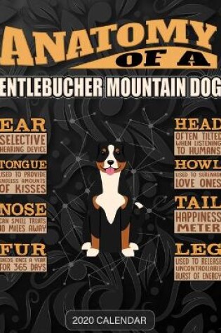Cover of Anatomy Of A Entlebucher Mountain Dog