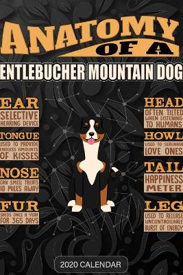 Book cover for Anatomy Of A Entlebucher Mountain Dog