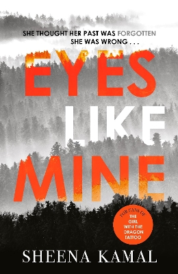 Book cover for Eyes Like Mine