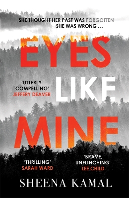 Book cover for Eyes Like Mine