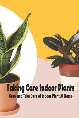 Book cover for Taking Care Indoor Plants