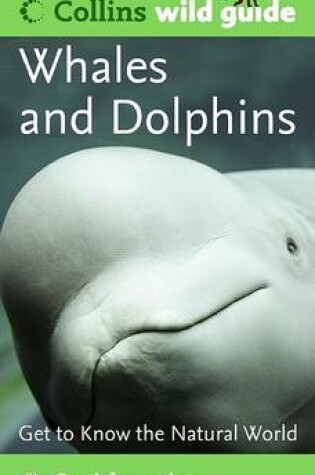 Cover of Whales and Dolphins (Collins Wild Guide)