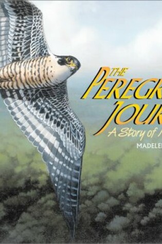 Cover of The Peregrine's Journey