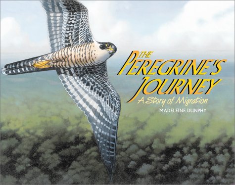 Book cover for The Peregrine's Journey