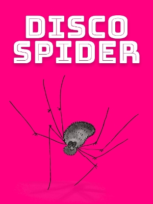 Book cover for Disco Spider