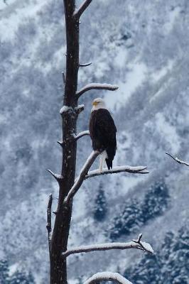 Book cover for Bald Eagle in Wintertime Alaska Journal