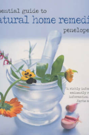 Cover of Essential Guide to Natural Home Remedies