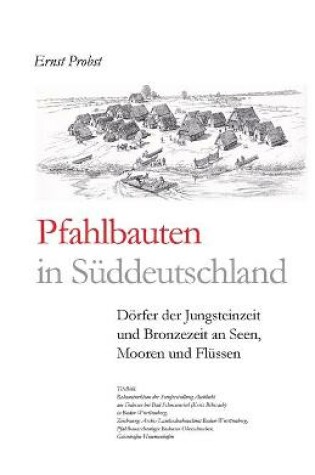 Cover of Pfahlbauten in Süddeutschland
