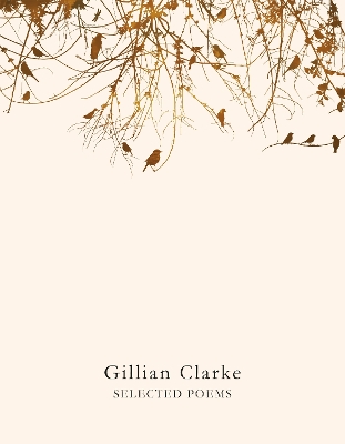 Book cover for Selected Poems