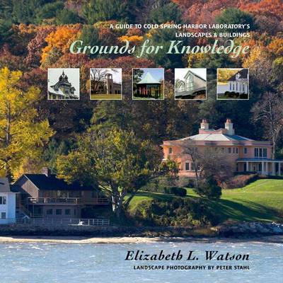 Book cover for Grounds for Knowledge