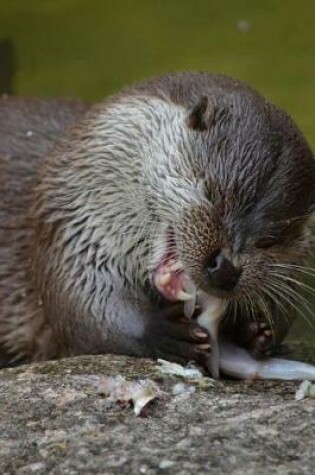 Cover of An Otter Having a Snack Journal