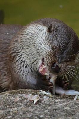 Book cover for An Otter Having a Snack Journal