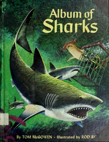 Book cover for Album of Sharks