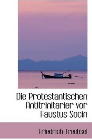 Cover of Die Protestantischen Antitrinitarier VOR Faustus Socin, Erstes Buch