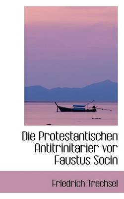 Book cover for Die Protestantischen Antitrinitarier VOR Faustus Socin, Erstes Buch