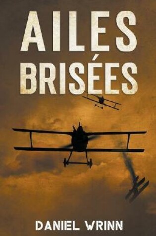 Cover of Ailes Brisees