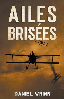 Cover of Ailes Brisees