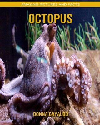 Book cover for Octopus