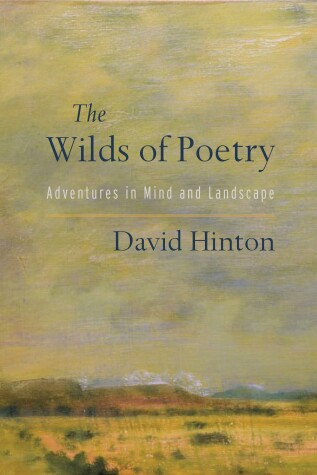 Book cover for The Wilds of Poetry