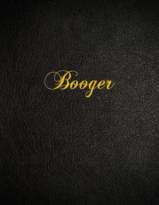 Book cover for Booger