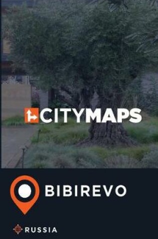 Cover of City Maps Bibirevo Russia