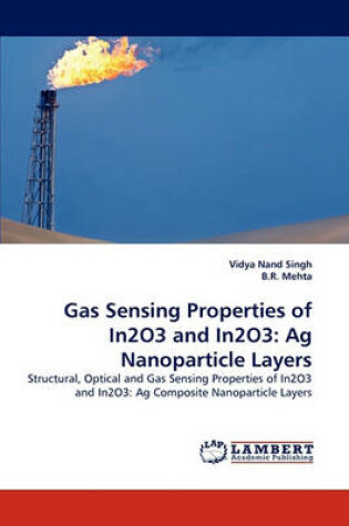 Cover of Gas Sensing Properties of In2O3 and In2O3