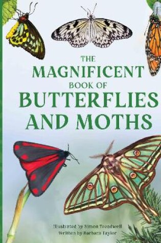 Cover of The Magnificent Book of Butterflies and Moths