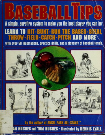 Book cover for Baseball Tips