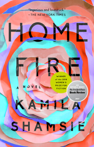 Book cover for Home Fire