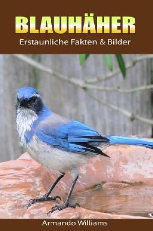 Cover of Blauhaher