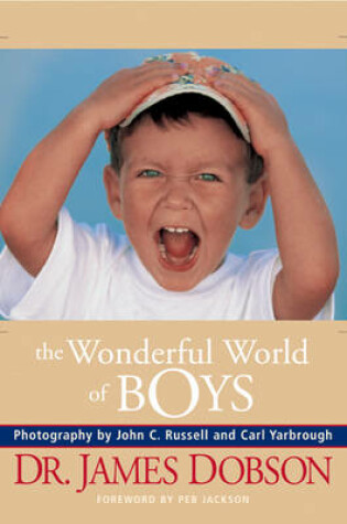 Cover of The Wonderful World of Boys